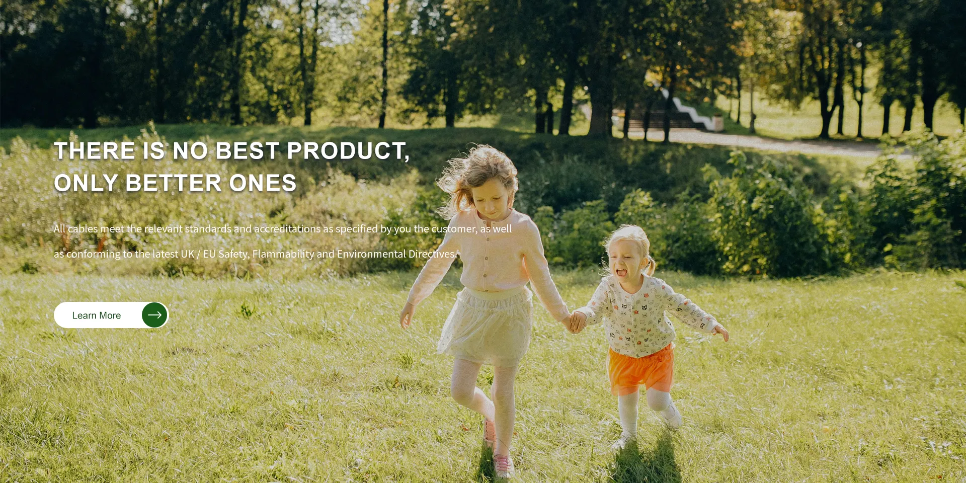 Specialized production and service