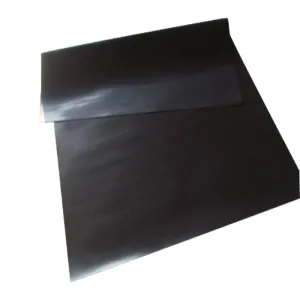 Folha de borracha isolada