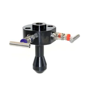 Welded flange isolation valve