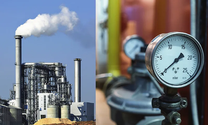 Steam pressure gauge