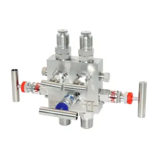 Integral five -valve manifold
