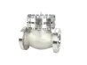 Ultra low temperature check valve