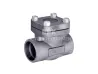 Rotary lift check valve