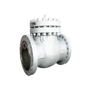 Swing check valve supply