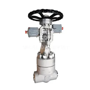 Nuclear power shut-off valve