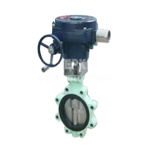 Nuclear butterfly valve manufacturer