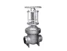 Parallel gate valve