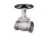 Globe valve manufacturer