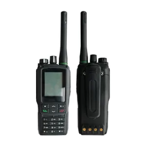 Self-organizing network digital walkie talkie