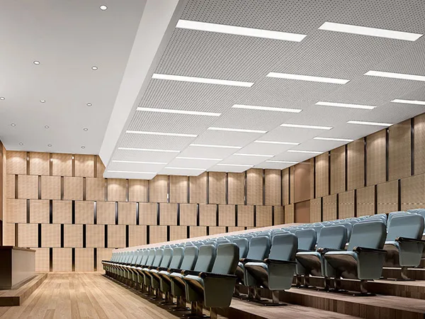Micro Perforated Acoustic Ceiling Panel for Lecture Hall