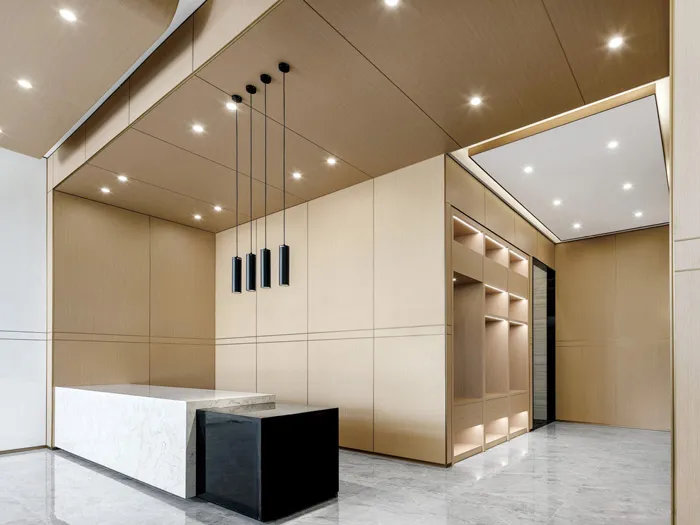 Modern Decorative Steel Wall Panel for Interior Design