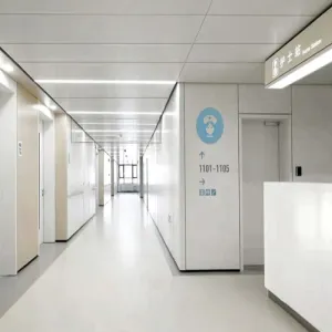 Hospital Corridor Steel Wall Panel for Healthcare Interior