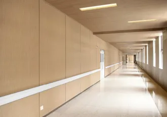 Wood Grain Steel Wall Panel for Hospital Interior Decoration