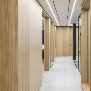 Wood-Grain Impact-Resistant Cleanroom Wall Panels