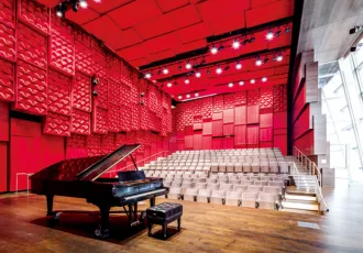 Decorative Micro Perforated Acoustic Panel