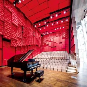 Decorative Micro Perforated Acoustic Panel
