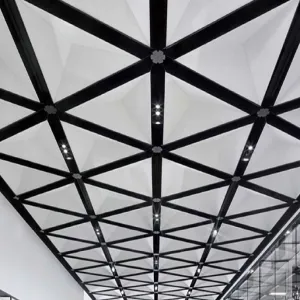 Triangular Aluminum Ceiling Panels