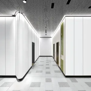 Solid Color Steel Wall Panel