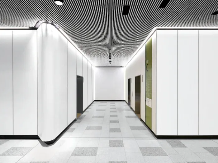 Solid Color Steel Wall Panel