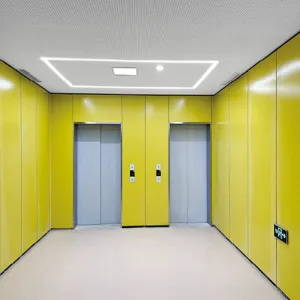 Elevator Lobby Wall Cladding