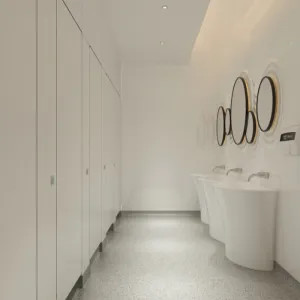 Contemporary Public Restroom Steel Partitions