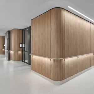 Natural Wood Grain Steel Wall Panel for Interior Decoration