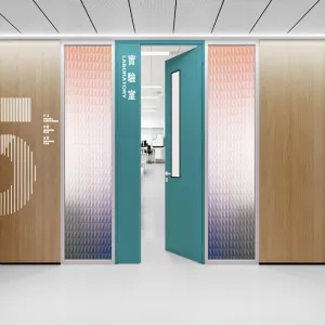 Cleanroom Steel Door