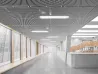 Architectural Expanded Metal Ceiling Panels
