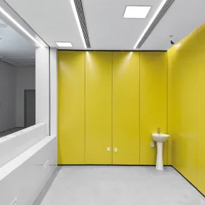 Solid Color Steel Wall Panel for Interior Wall Decoration