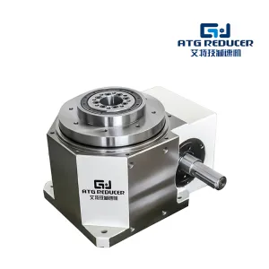 DT Cam Indexing Drives