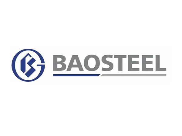 Baoshan Iron & Steel Co., Ltd.