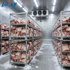 Meat cold room China Manufacturers - Linsky Refrigeration Equipment Co ...