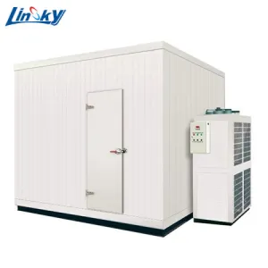 Ice storage room with refrigeration system China Manufacturers - Linsky ...