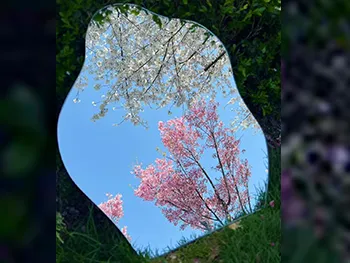 High Brightness LED Smart Bathroom Mirror