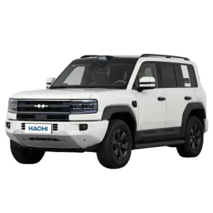 BYD Formula Leopard 5