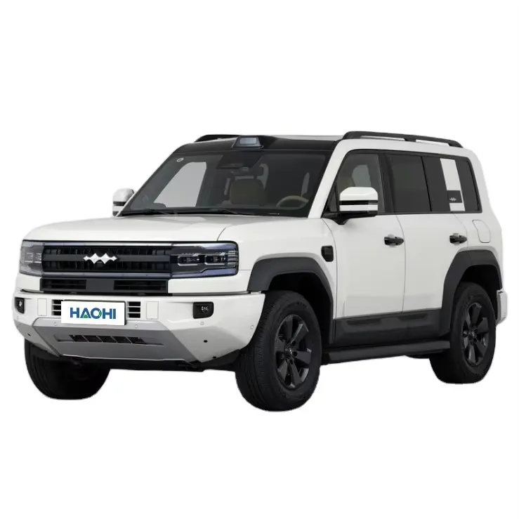 BYD Formula Leopard 5