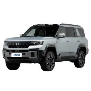 BYD Formula Leopard 8