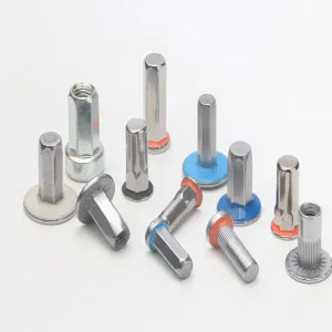 Zhejiang Senlong Hardware Products Co., Ltd. Riveting Parts