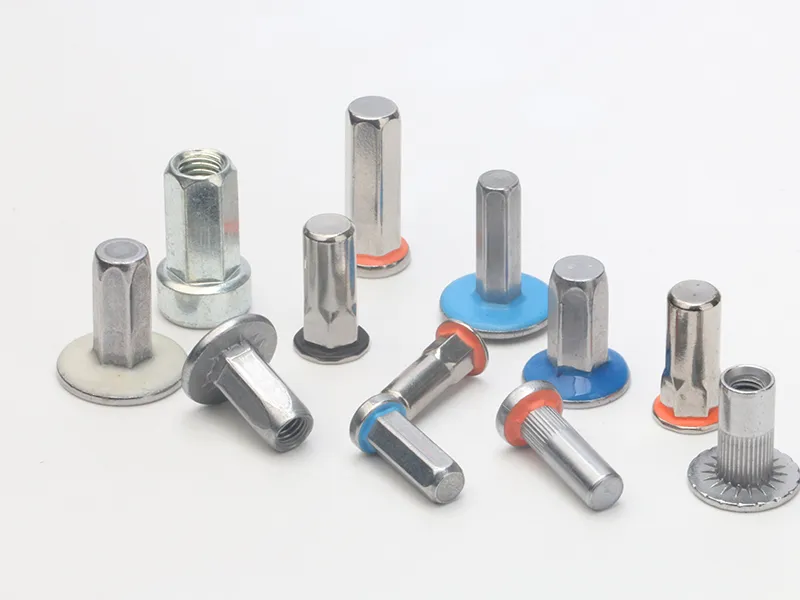 Zhejiang Senlong Hardware Products Co., Ltd. Riveting Parts