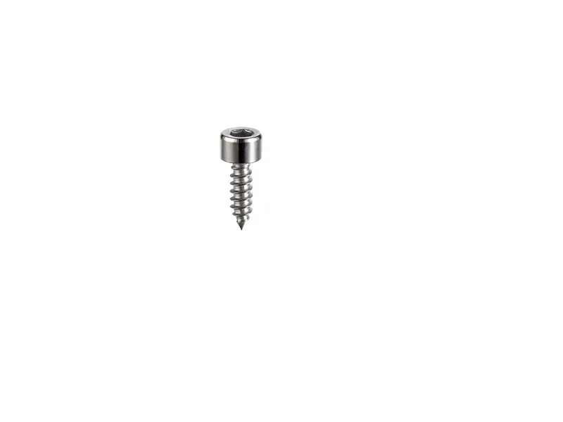 Screws for lighting fixtures