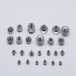 Guangdong Chuangbiao Hardware Technology Co., Ltd. Nuts