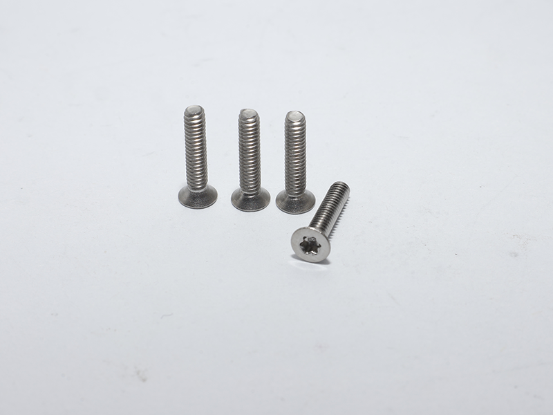 Countersunk Torx head machine screws