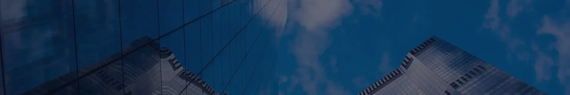 公司介绍