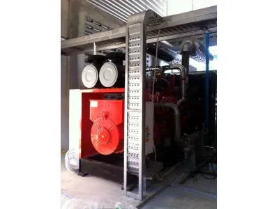 2*500 kw Biogas Power Plant in Thailand