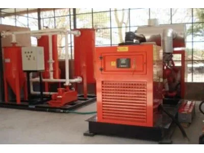 100KW & 24KW Biogas Power Plant in Kenya