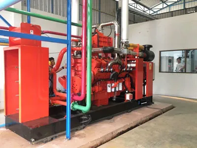450KW Biogas Generation Power Plant Project in a Pig Farm in Thailand