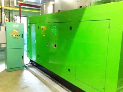 40 kw & 100 kw Natural gas Power plant, Ireland