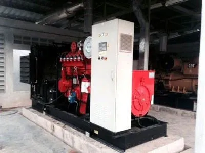 300KW Biogas Power Plant With Scrubber, Malaysia