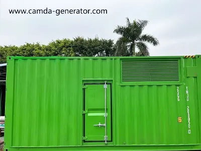 Set penjana biogas 450KW telah dipasang pada April 2022 di ladang ayam Thailand.