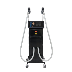 Dual Handpieces Laser Hair Removal Beauty Equipment